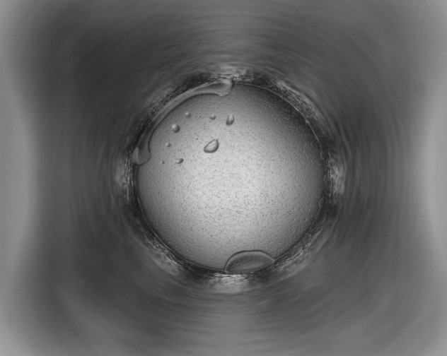 X0000116630665200912181326