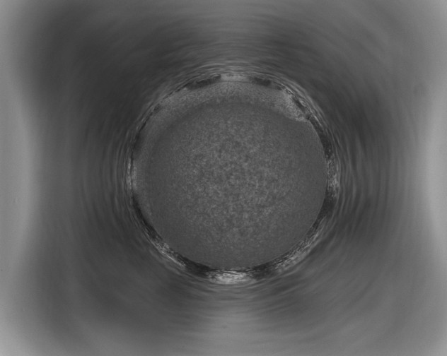 X0000116630669200912181326