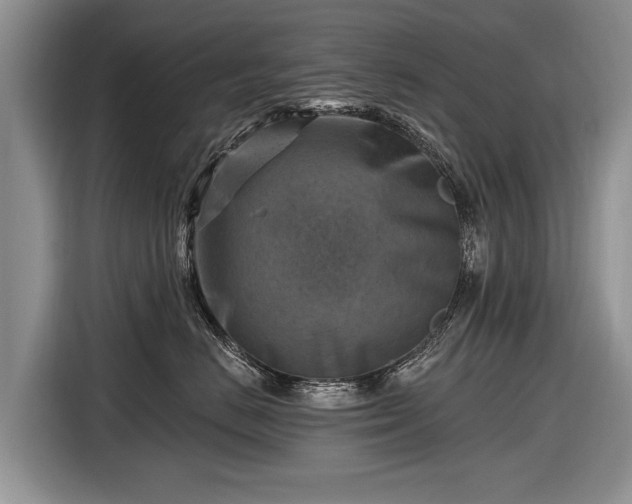 X0000116630670200912181326