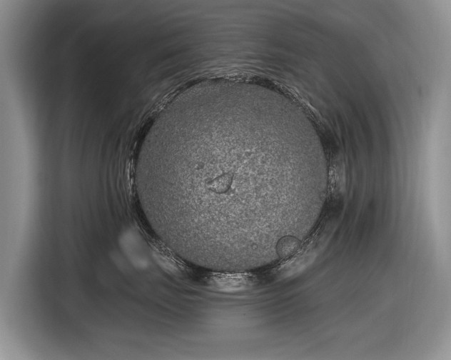 X0000116630671200912181326