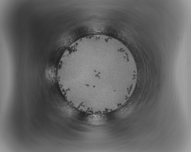 X0000116630672200912181326