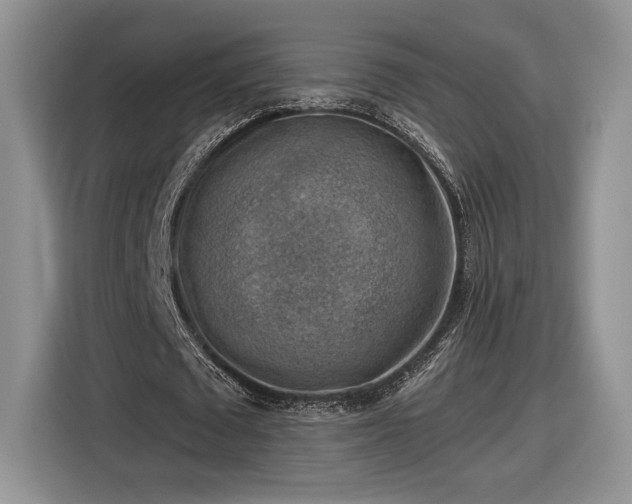 X0000116630673200912181325