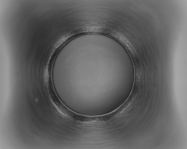 X0000116630674200912181325