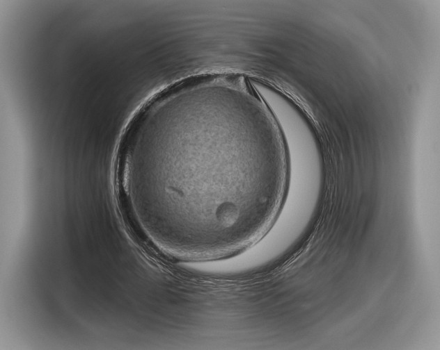 X0000116630676200912181325