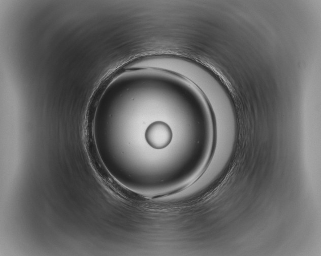 X0000116630677200912181325