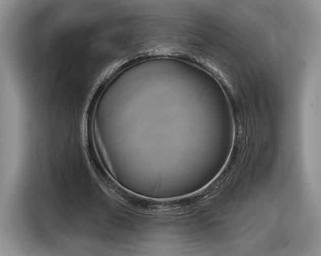 X0000116630678200912181325