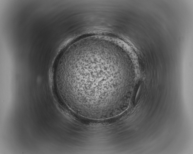 X0000116630679200912181325