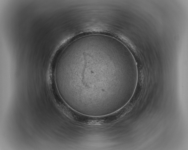 X0000116630680200912181325