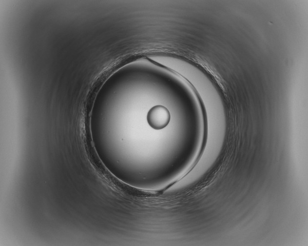 X0000116630681200912181325