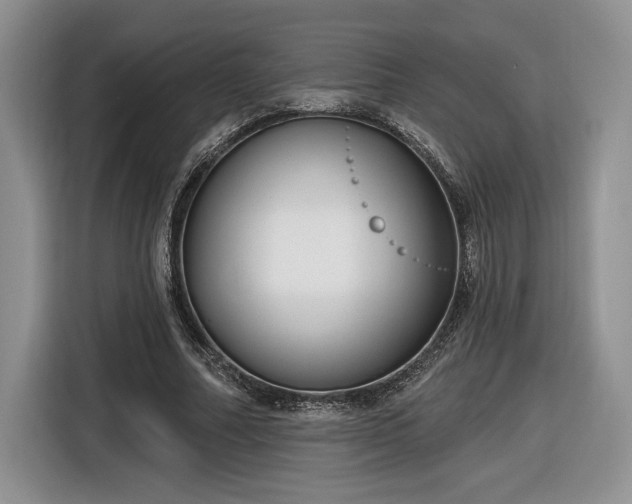 X0000116630682200912181325