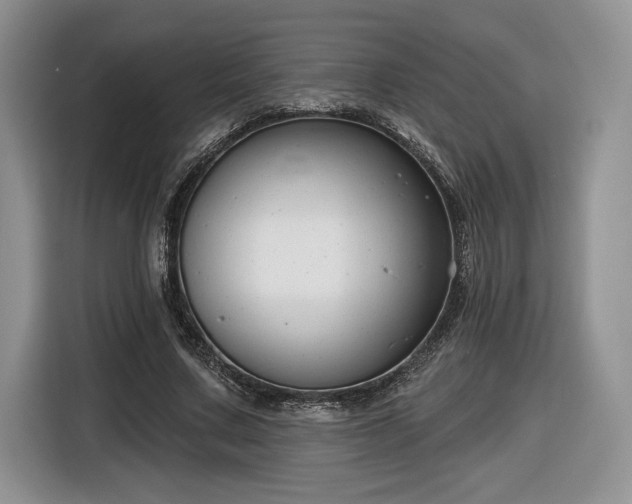 X0000116630683200912181325