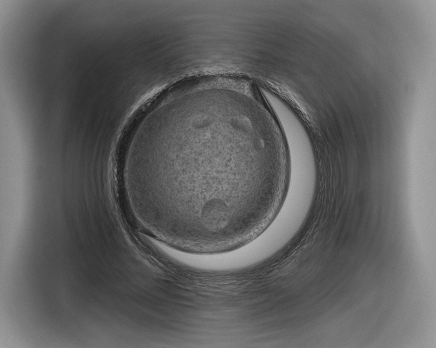 X0000116630684200912181325