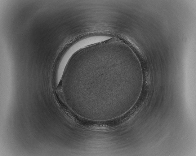 X0000116630685200912181325