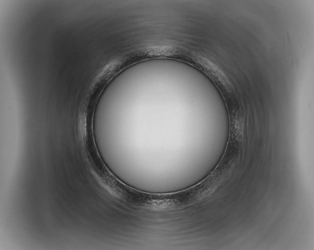 X0000116630686200912181325