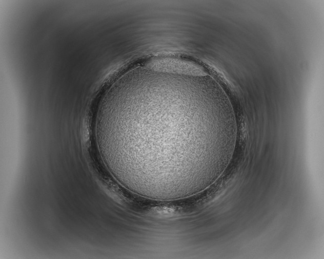 X0000116630687200912181325