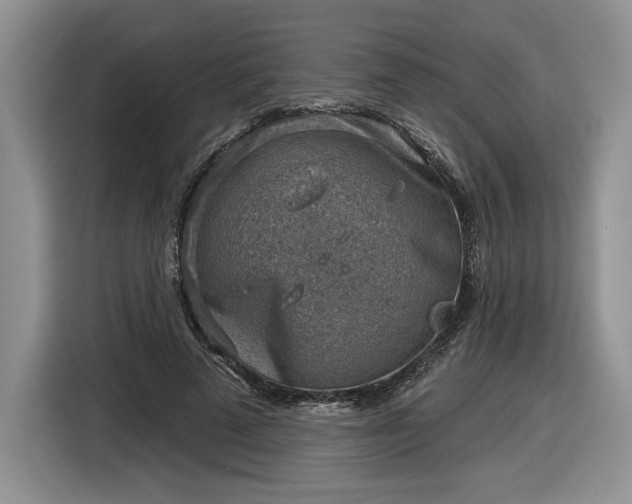 X0000116630689200912181325