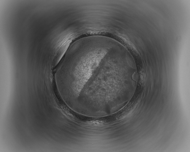 X0000116630691200912181325