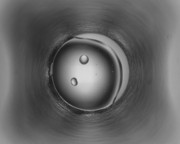 X0000116630692200912181325