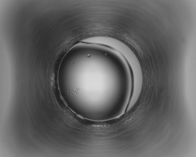 X0000116630693200912181325