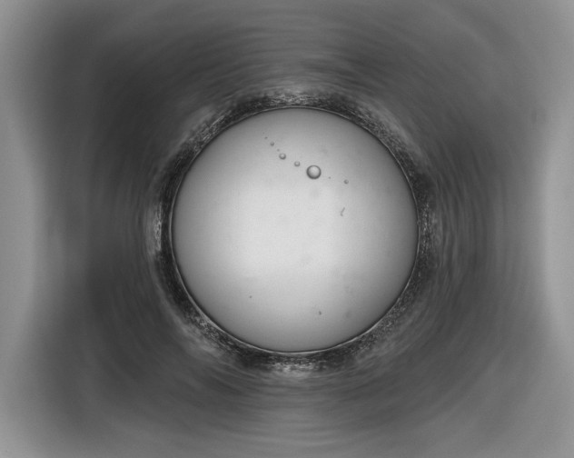 X0000116630694200912181325