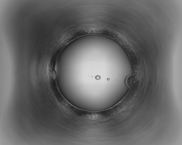 X0000116630695200912181325