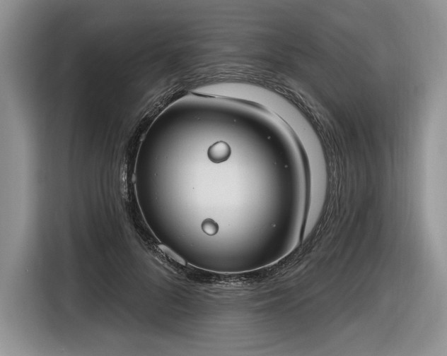 X0000116630696200912181325