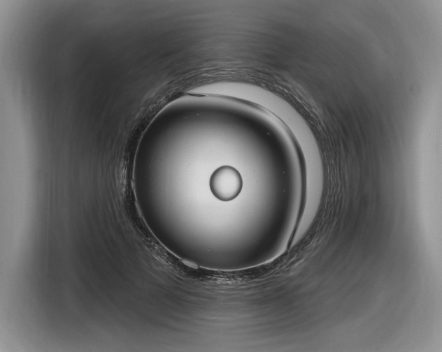 X0000116630697200912181325