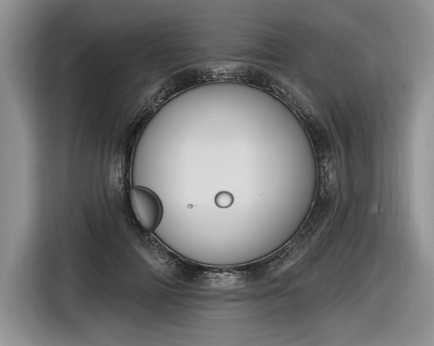 X0000116630698200912181325