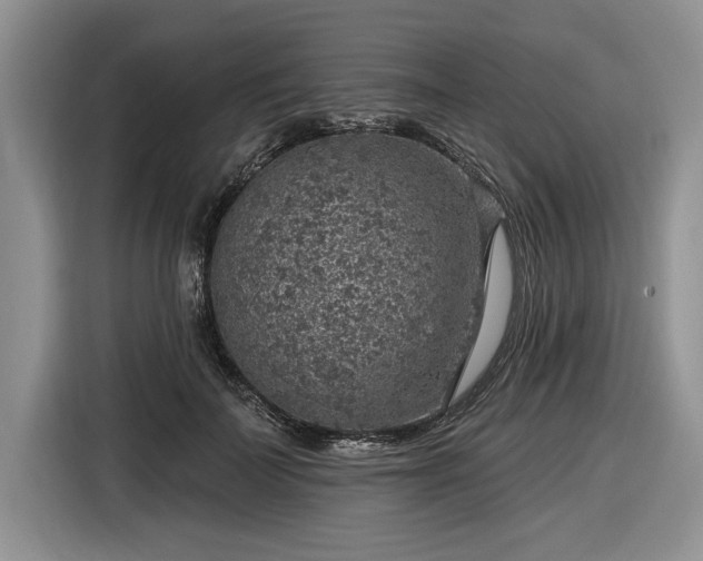 X0000116630699200912181325