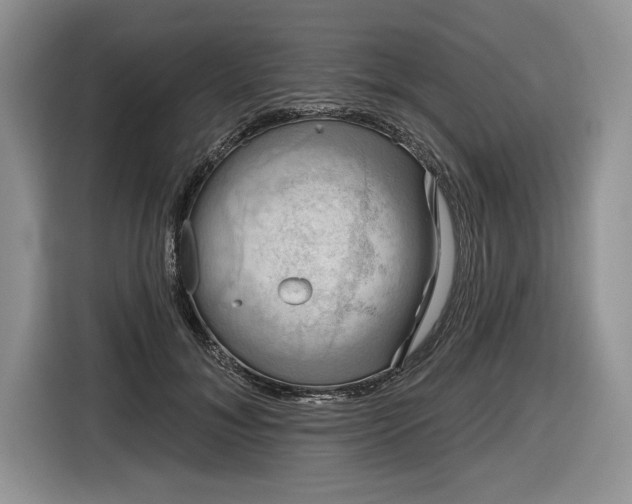 X0000116630700200912181325