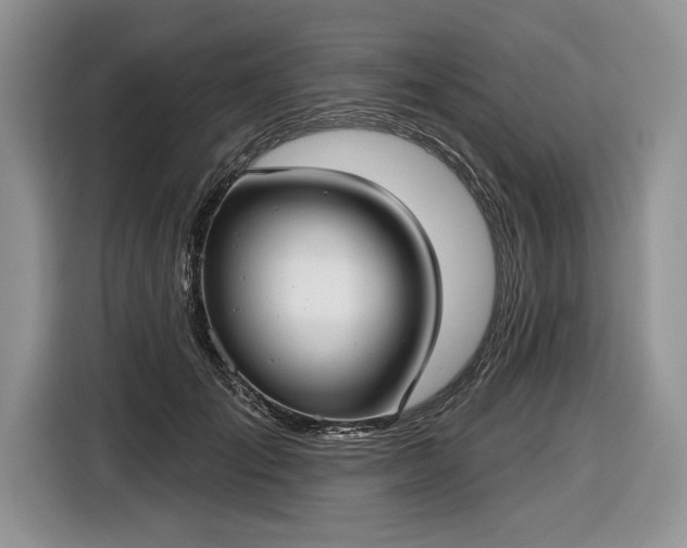 X0000116630701200912181325