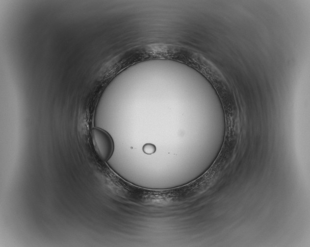 X0000116630702200912181325