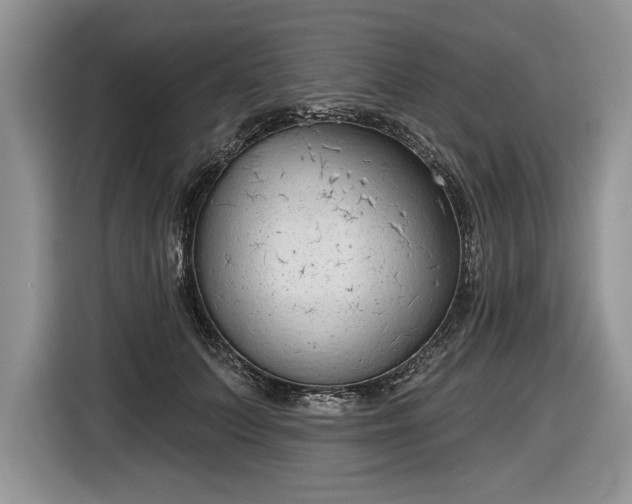 X0000116630703200912181325