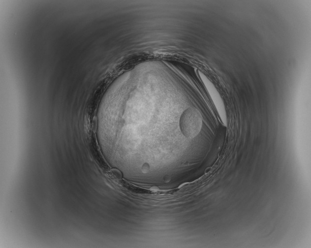 X0000116630704200912181325