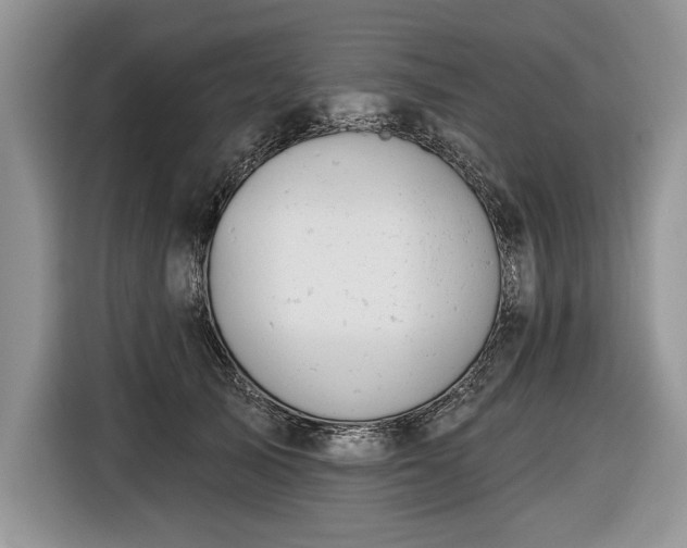 X0000116630705200912181325