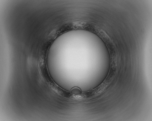 X0000116630706200912181325