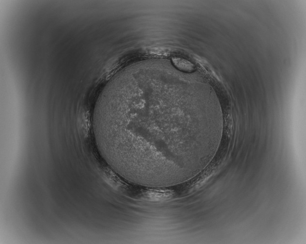 X0000116630707200912181325