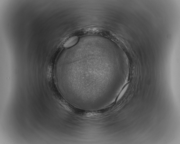 X0000116630708200912181325