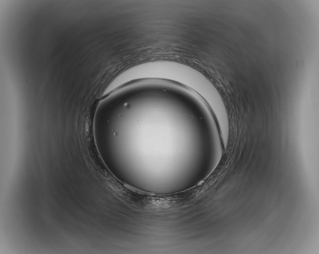 X0000116630709200912181325