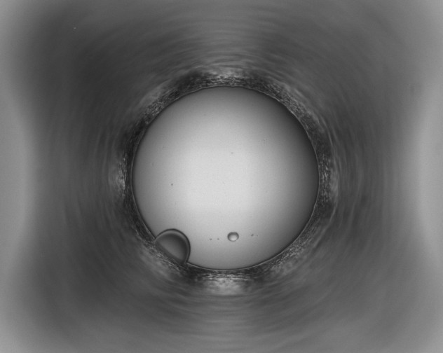 X0000116630710200912181325