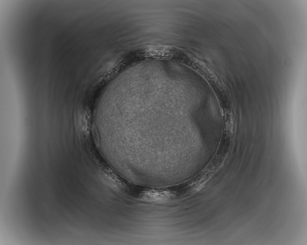 X0000116630712200912181325