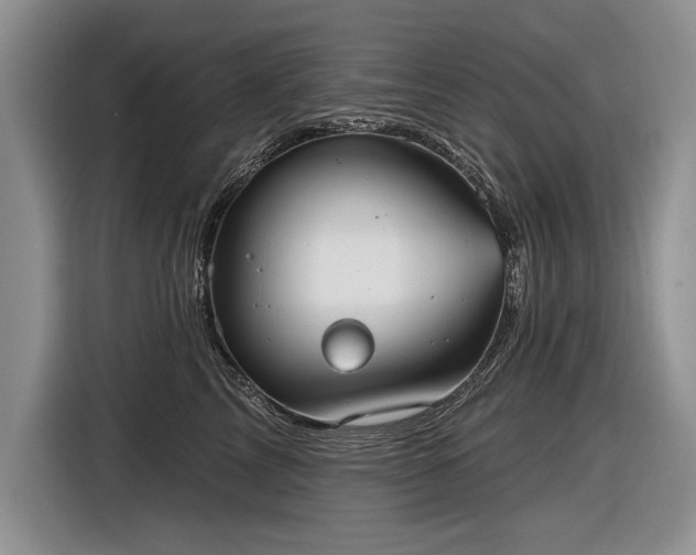 X0000116630713200912181325