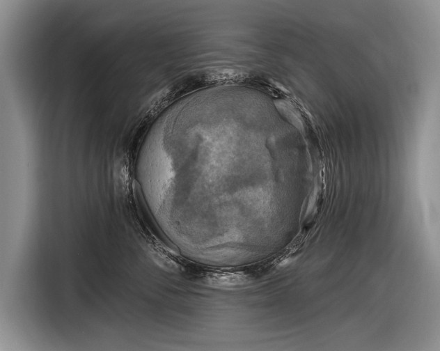 X0000116630716200912181325