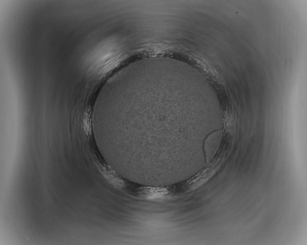 X0000116630719200912181325