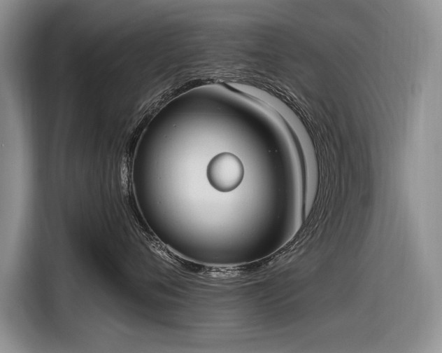 X0000116630720200912181325