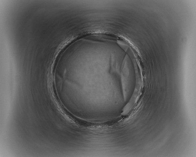 X0000116630721200912181324
