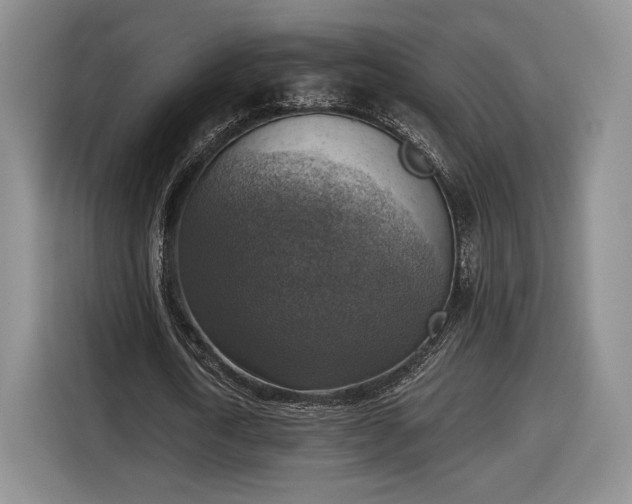 X0000116630722200912181324