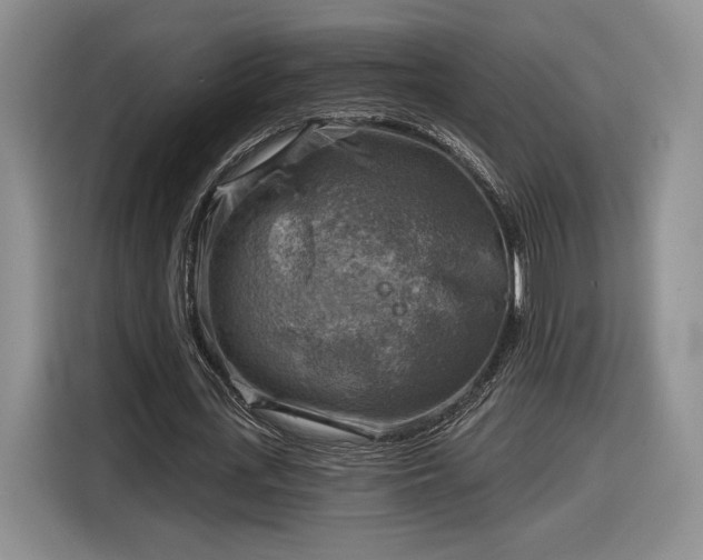 X0000116630723200912181324