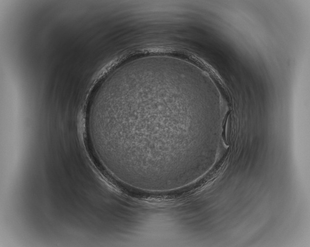 X0000116630725200912181324