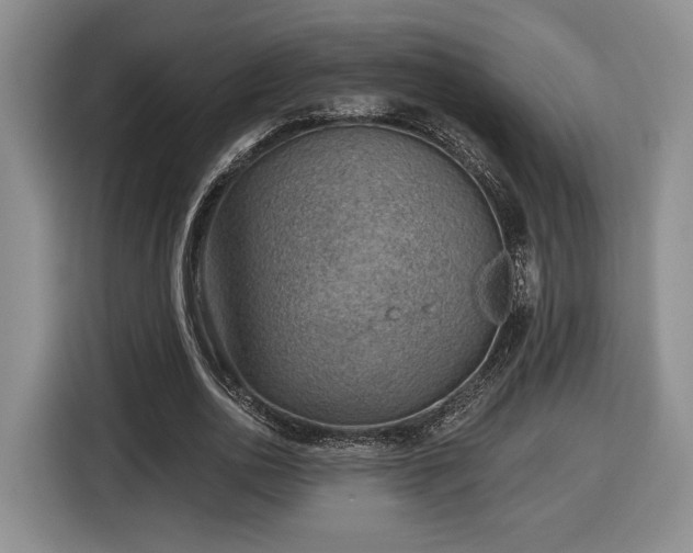 X0000116630726200912181324